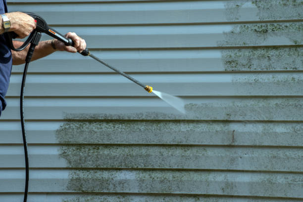 Best Residential Pressure Washing Services  in Clinton, MD